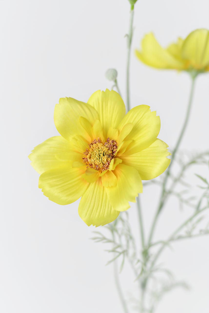 Realistic-looking stems and leaves of artificial yellow Cosmos sulphureus flowers with four blooms and two buds.