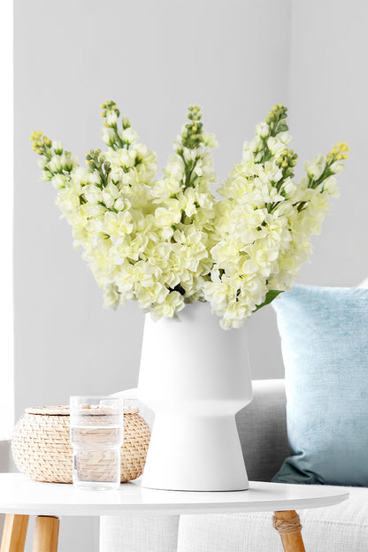 A stunning arrangement of lifelike cream-white 31-inch Matthiola Incana flowers displayed on a table with a floral vase.