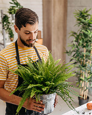 Silkfloras-Artificial-plants