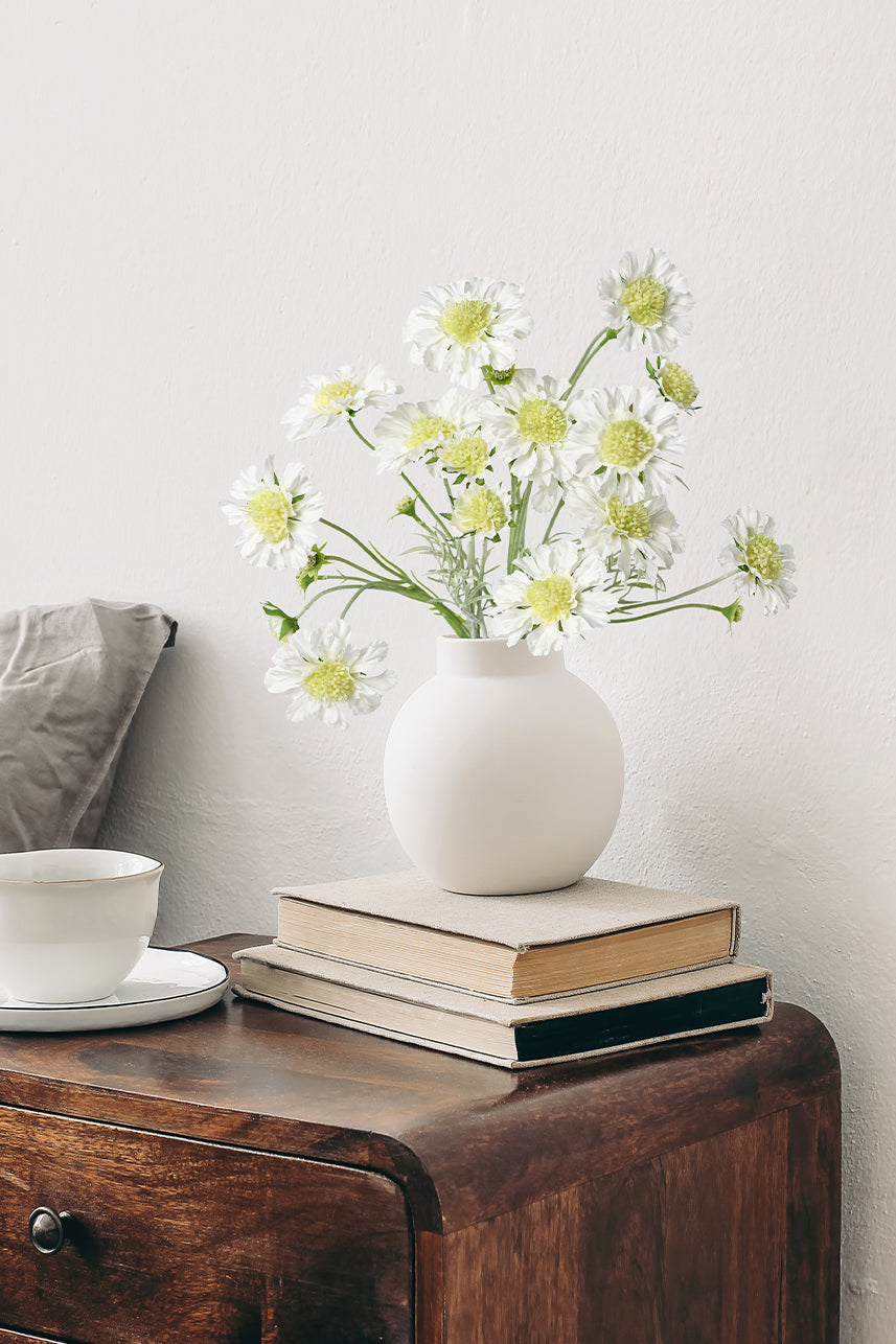 White artificial scabiosa atropurpurea looks elegant and natural, adding a natural atmosphere to the home.