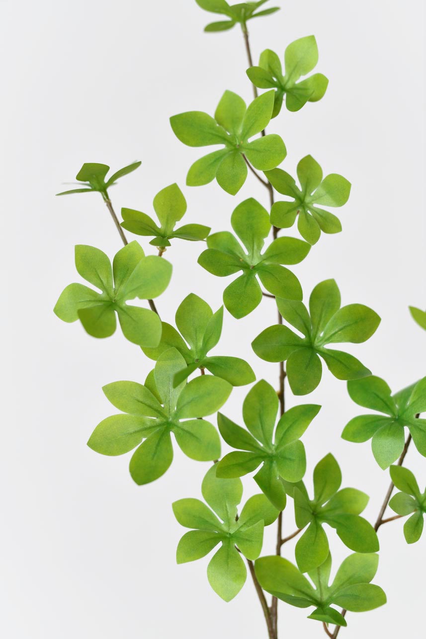 Elevate your spring and summer blooms with our stunning large artificial light green enkianthus perulatus leaves. Crafted to perfection, these lifelike foliage pieces add a touch of verdant elegance to any floral arrangement or decor setting, infusing your space with the vibrant essence of nature&