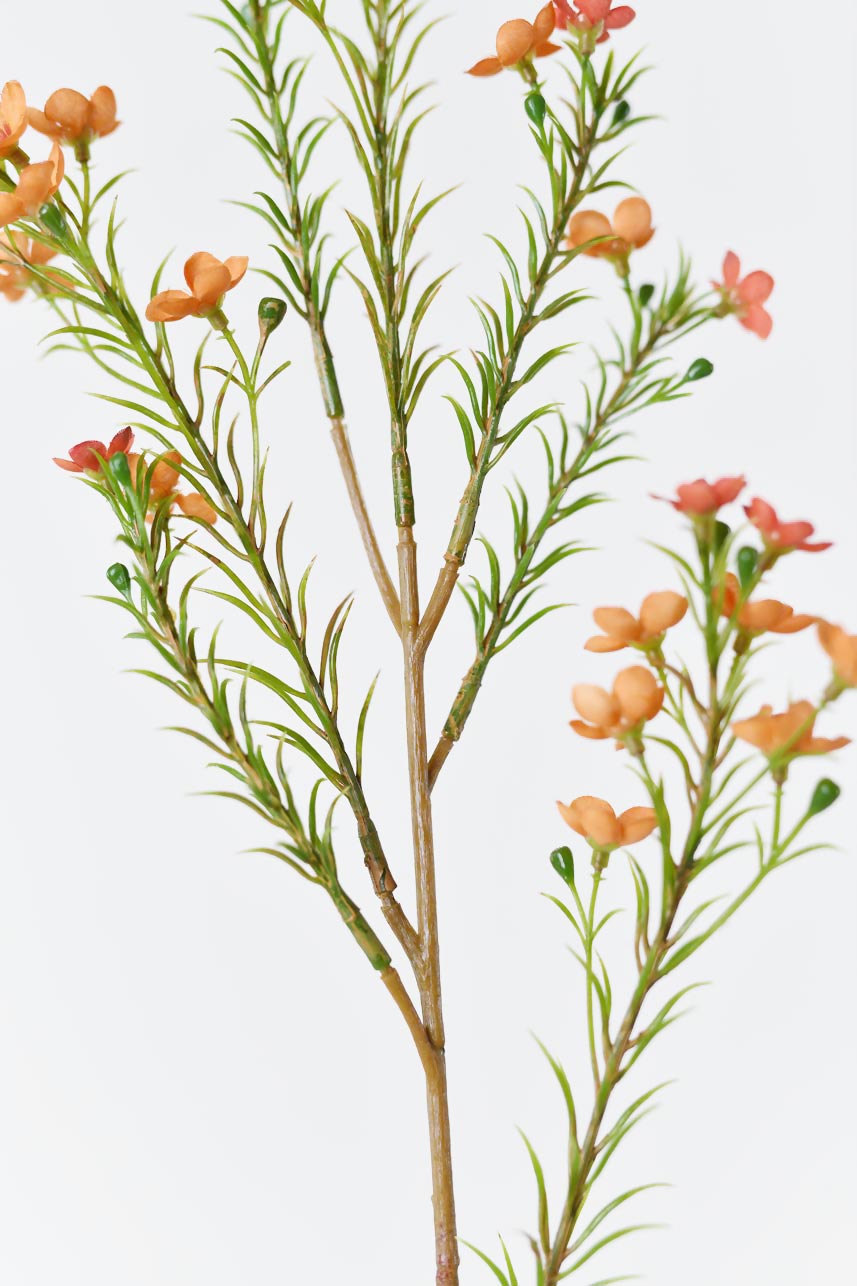 Realistic orange Chimonanthus Praecox silk flowers with bright green accents, a lifelike and stunning addition to your home decor.