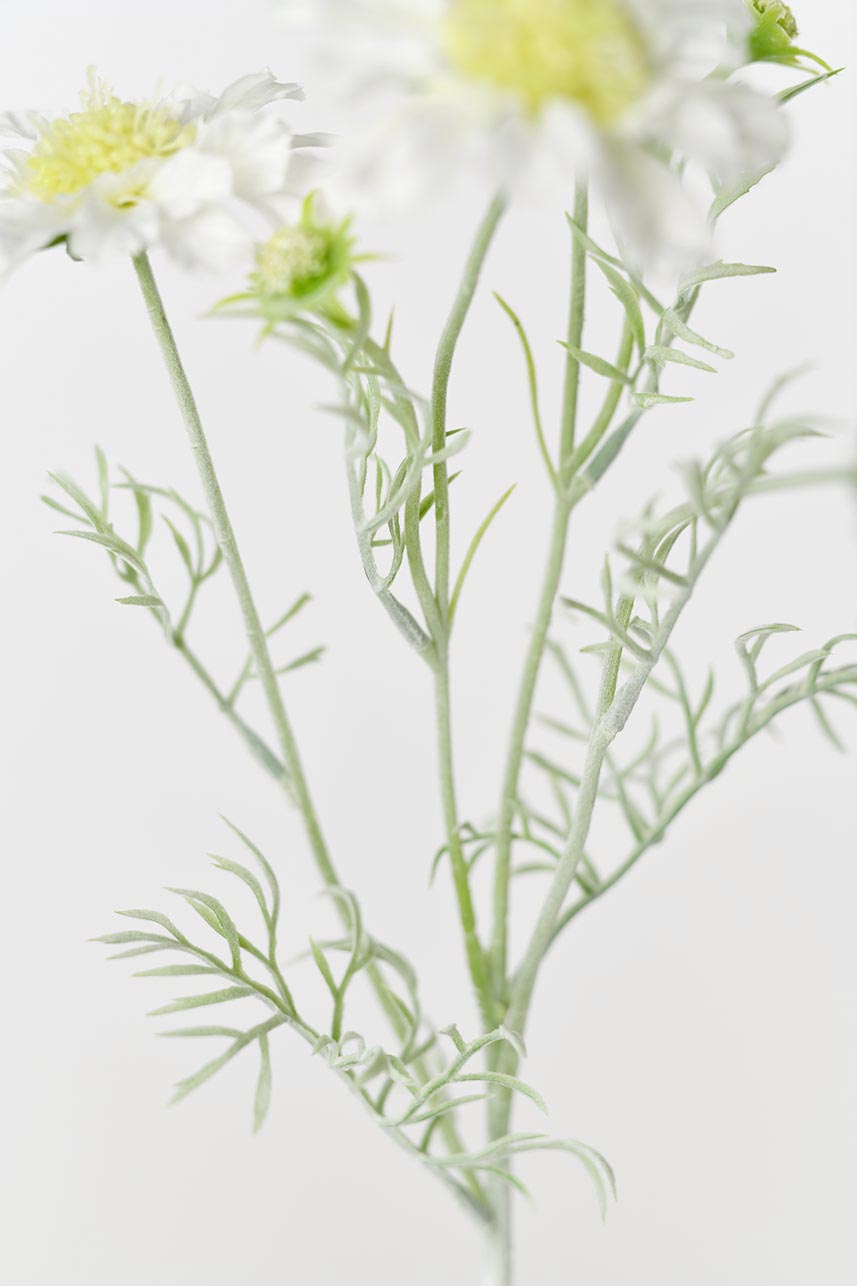 The stems and leaves of the cream white scabiosa silk flowers, adding a touch of natural beauty to any space.