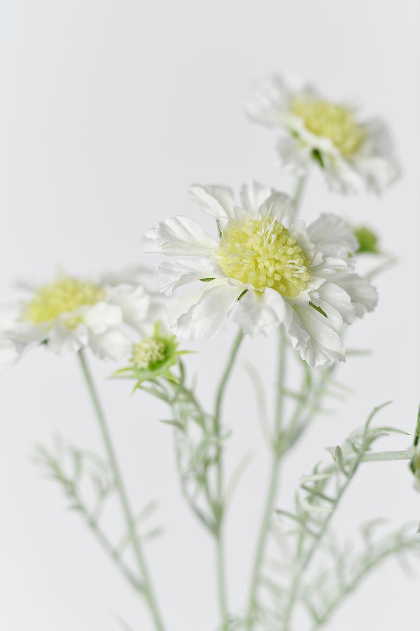 A close-up of the detailed cream white scabiosa silk blooms, featuring delicate petals and yellow centers.