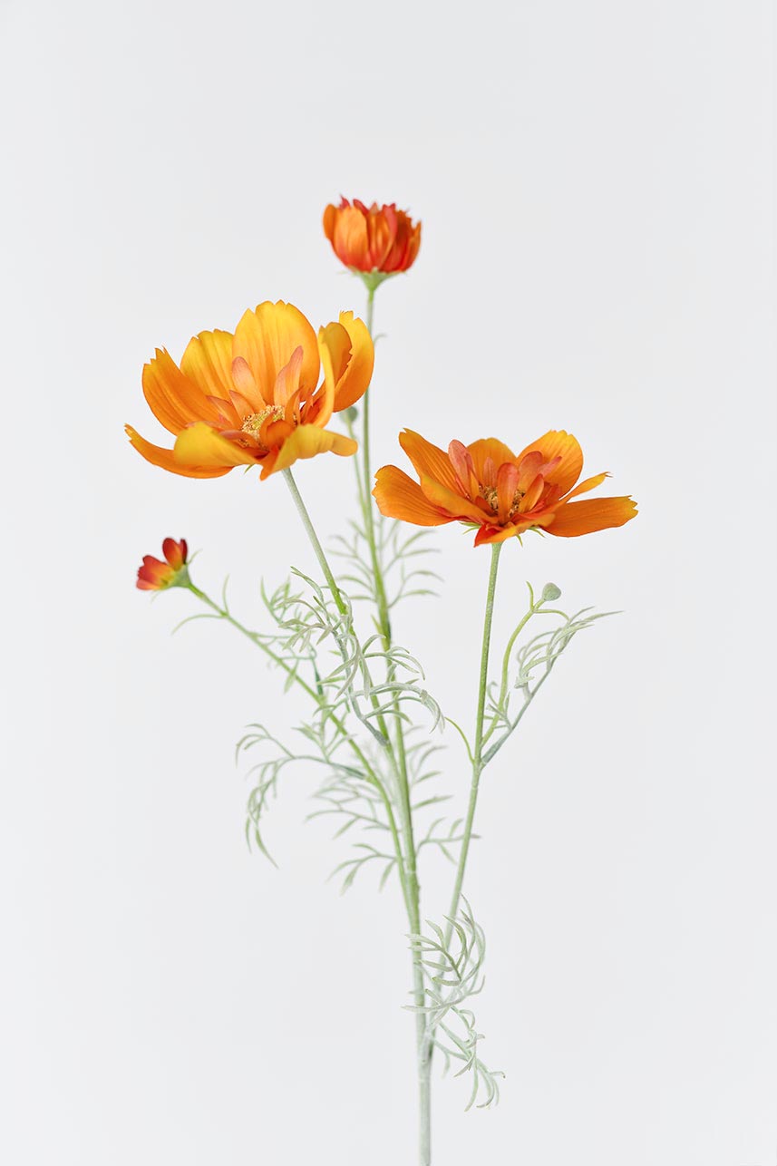 Artificial orange Cosmos sulphureus blooms and buds, with vivid colors and lifelike texture, perfect for adding a touch of freshness to any room.