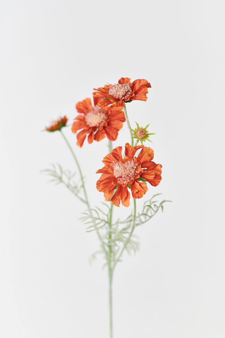 Artificial Scabiosa atropurpurea flowers with realistic fake petals and stems in orange.
