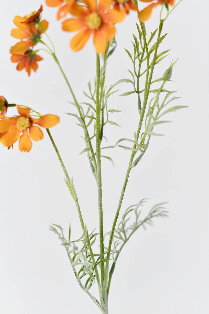 Long-stemmed orange artificial cosmos flowers with silk petals and leaves, standing at 31 inches in height, perfect for adding a pop of color to any room.