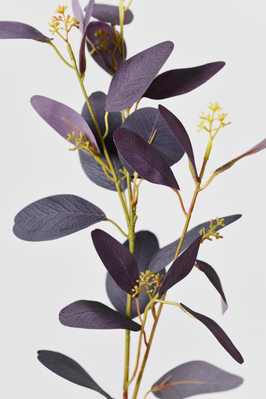 A detailed description of artificial BurgundyParisian Eucalyptus.