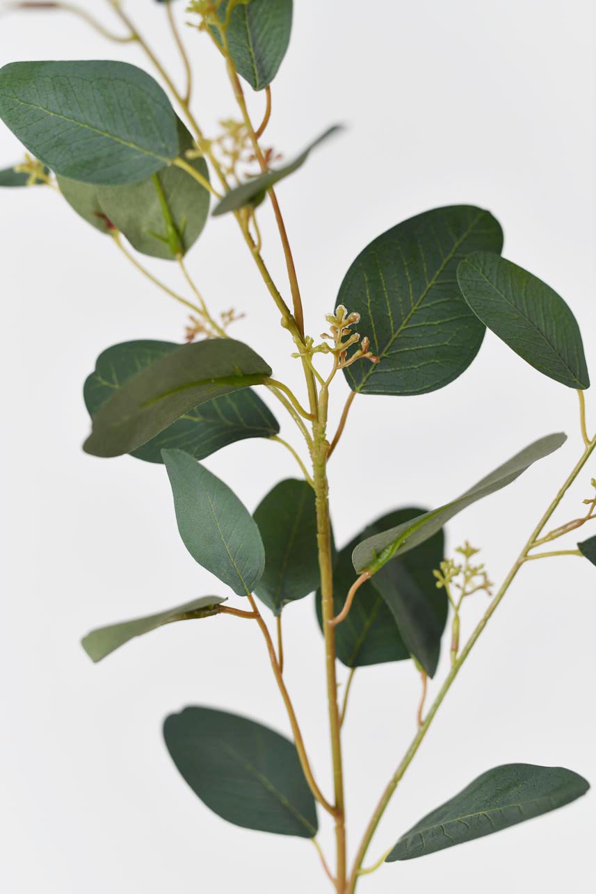 A tall vase filled with artificial branches of green Parisian Eucalyptus leaves, which are long and slender, adding a natural look to the display.