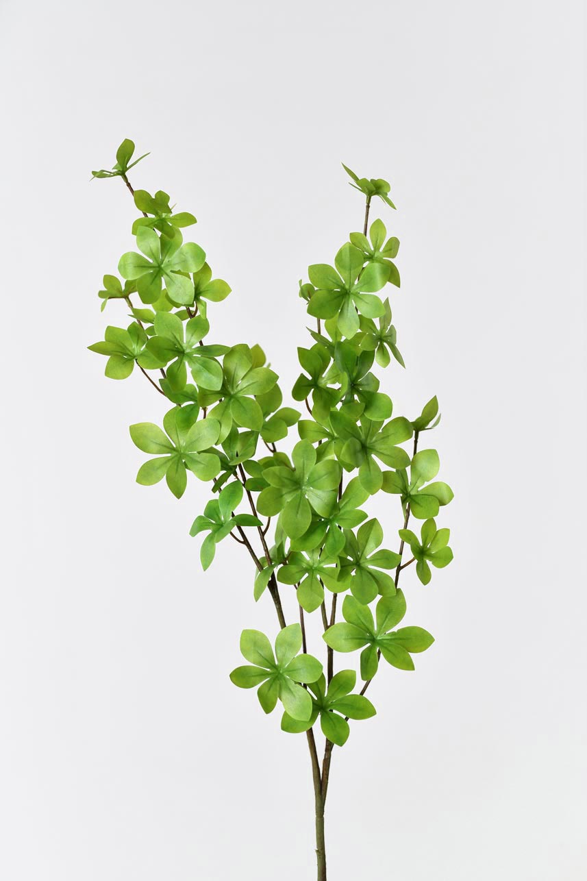 "Silkfloras artificial branches with light green Enkianthus Perulatus leaves, 36 inches tall, for a realistic touch of greenery in any space."