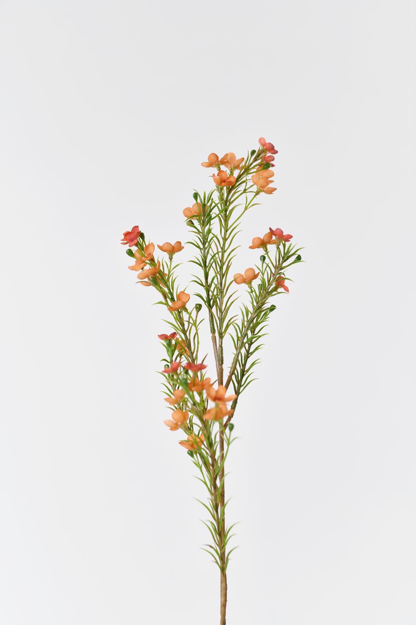 "Silkfloras artificial Chimonanthus Praecox in orange, 24 inches tall, perfect for adding a pop of color to your home decor."