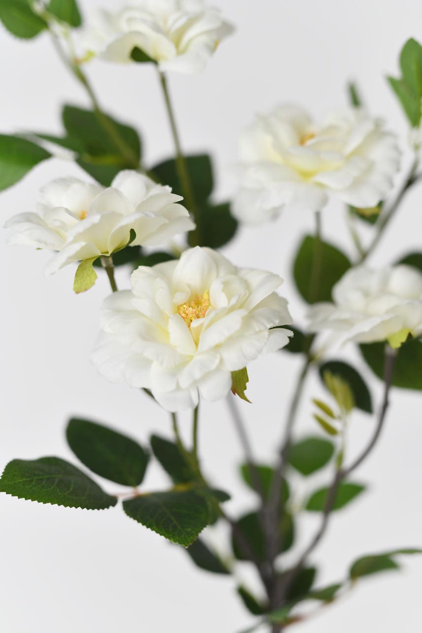 Detailed close-up of faux Iceberg Rose flowers&