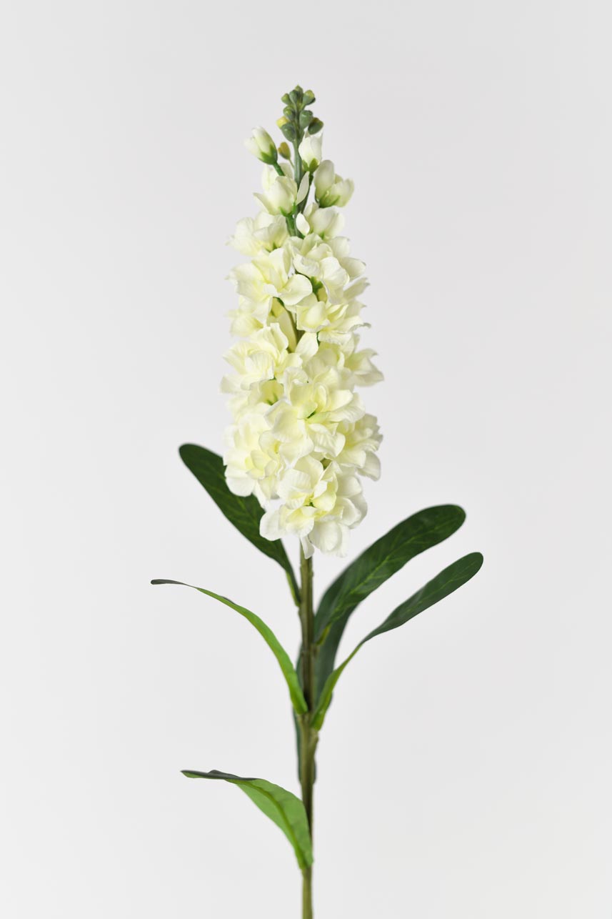 A beautiful and realistic-looking artificial matthiola incana flower in cream white color