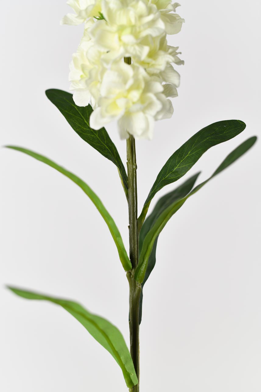 An artificial matthiola incana flower in cream white color that looks like a real plant