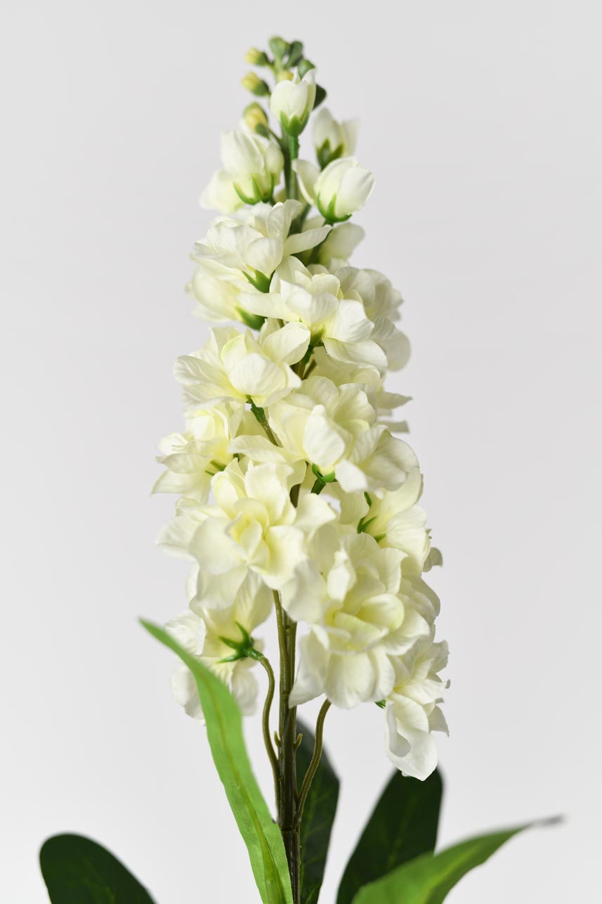 A lifelike and stunning artificial matthiola incana flower in cream white color