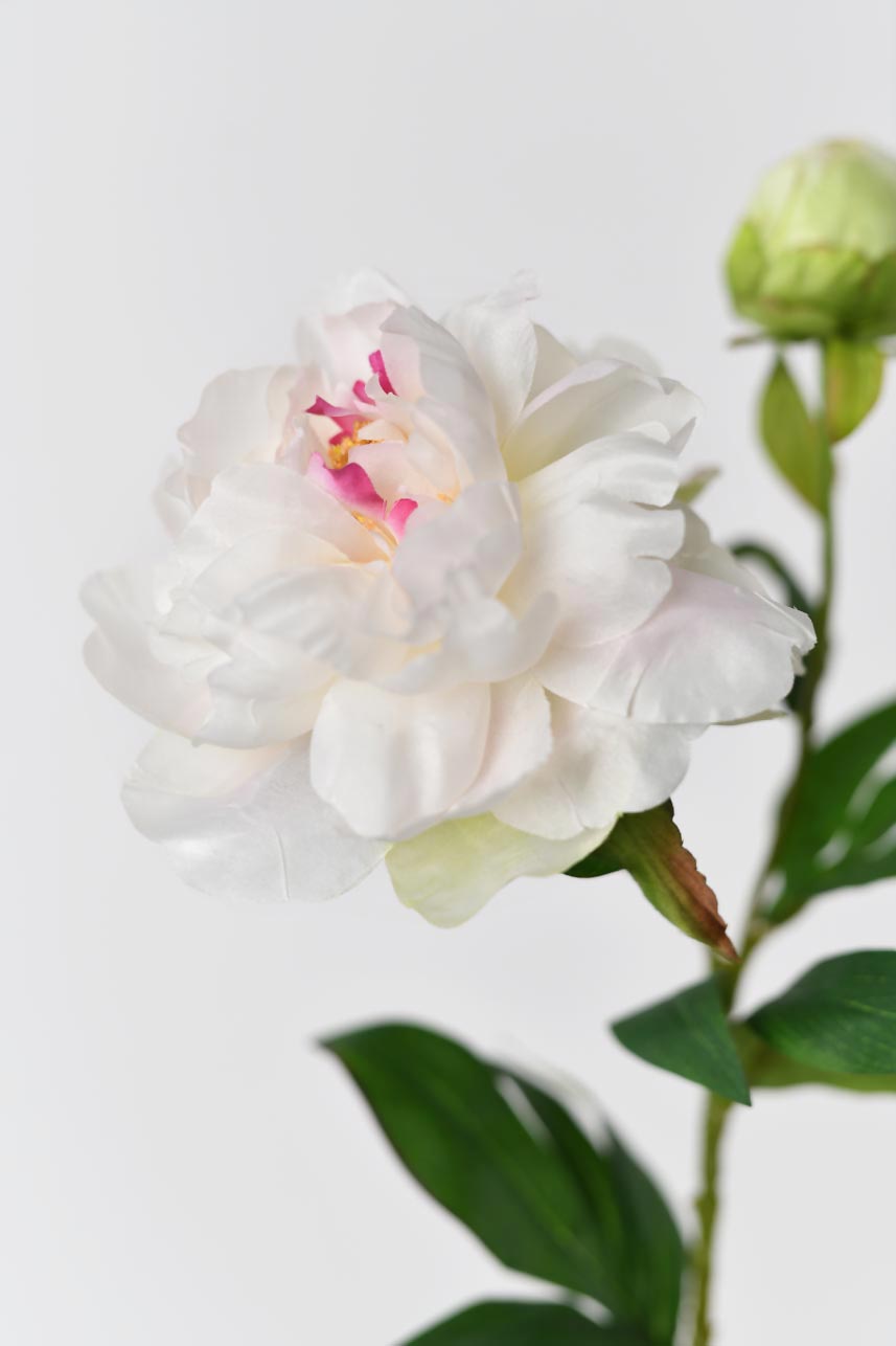 Blooming artificial peony flowers in pink cream with bright green realistic leaves and stems.