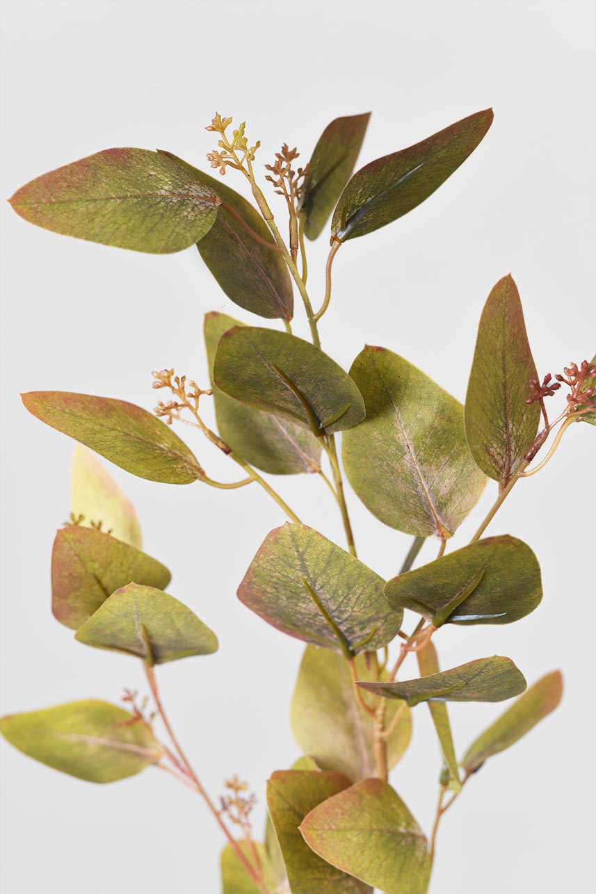 Detailed close-up of faux burgundy green dutch eucalyptus greenly leaves, display beauty all year long.