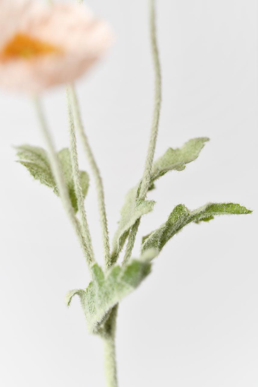 A beautiful and realistic-looking faux papaver rhoeas flower in coral pink with faux flocking stems, perfect for adding a touch of elegance to your kitchen with a floral vase.