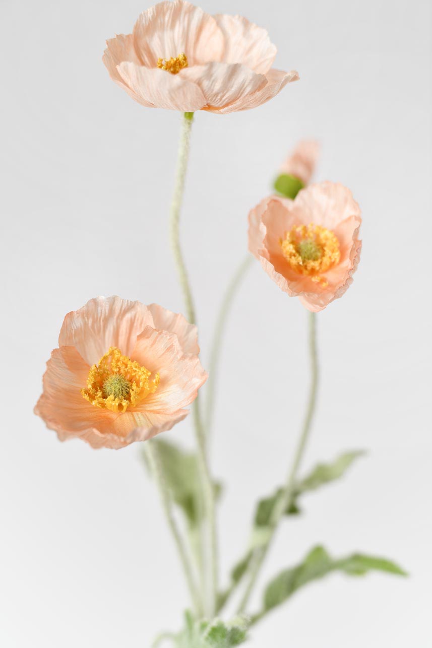 Realistic-looking faux papaver rhoeas flowers in coral pink with faux flocking stems. Perfect for home decoration or weddings.