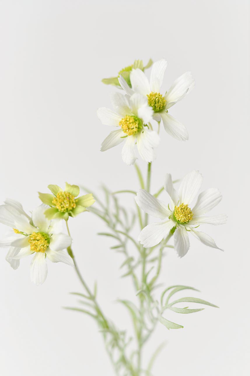 Bulk cream and white artificial cosmos flower petals for crafting or decoration purposes.