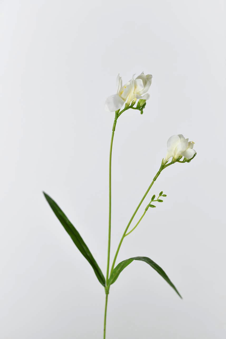 A cream white artificial freesia flower with a realistic touch and feel.
