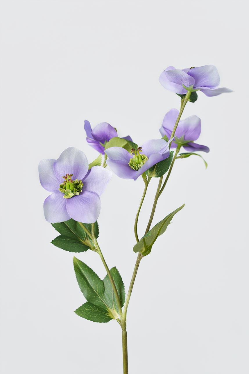 5 light purple Helleborus silk floral arranged together for an elegant display.