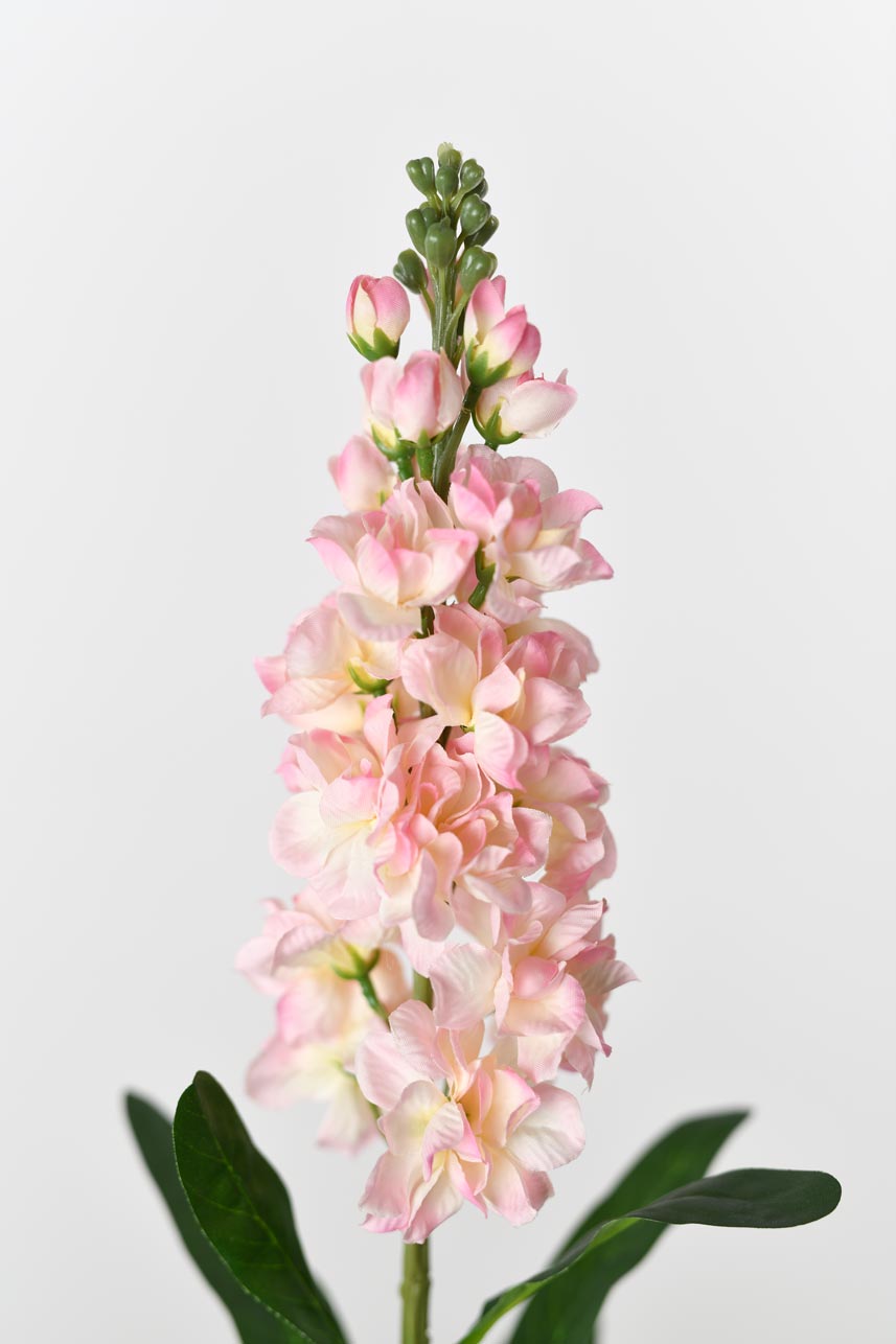 Faux Mauve Pink Matthiola Incana Silk Flowers, 31 Inches Tall, with Realistic Silk Petals