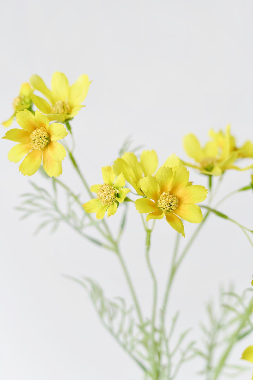Close-up of artificial yellow Cosmos flowers with yellow centers and yellow petals.