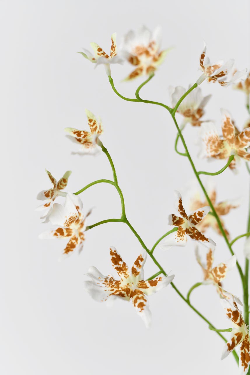 Faux cream white oncidium silk flowers, 32 inches tall, with realistic petals and textures, adding an elegant and sophisticated touch to your home.