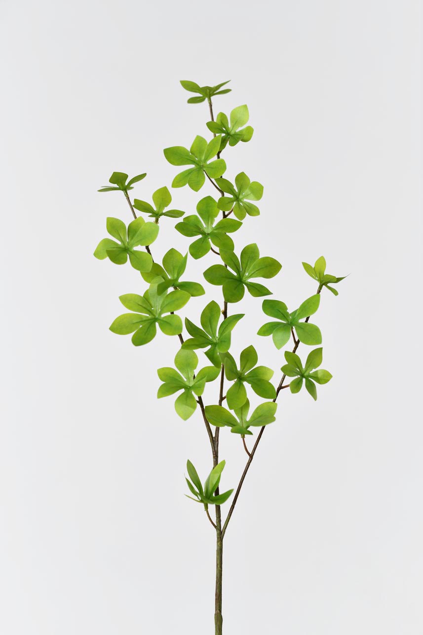 Faux light green enkianthus perulatus, 27 inches tall, adding beauty and color to your decor