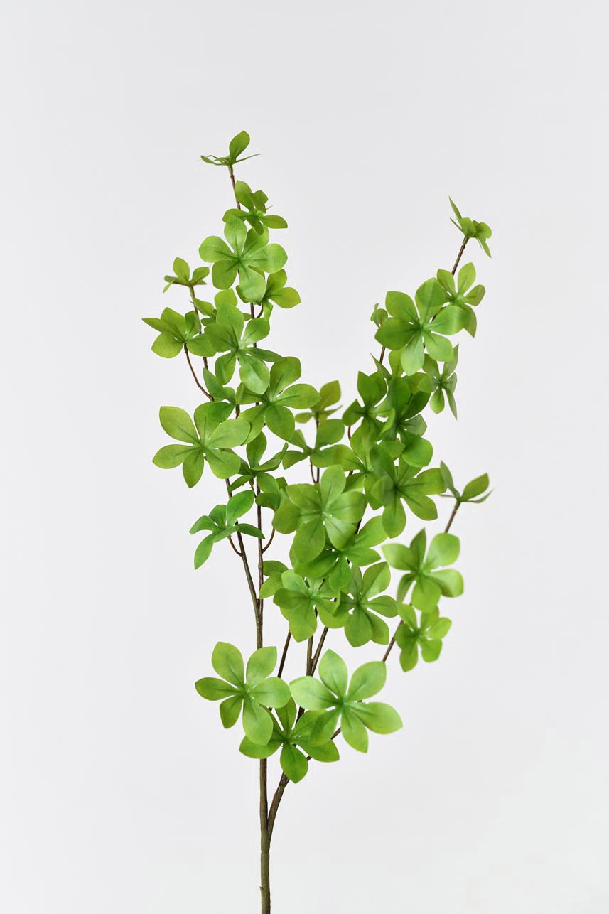 "Silkfloras faux Enkianthus Perulatus in light green, 36 inches tall, with detailed leaves and stems for a natural touch in any room."