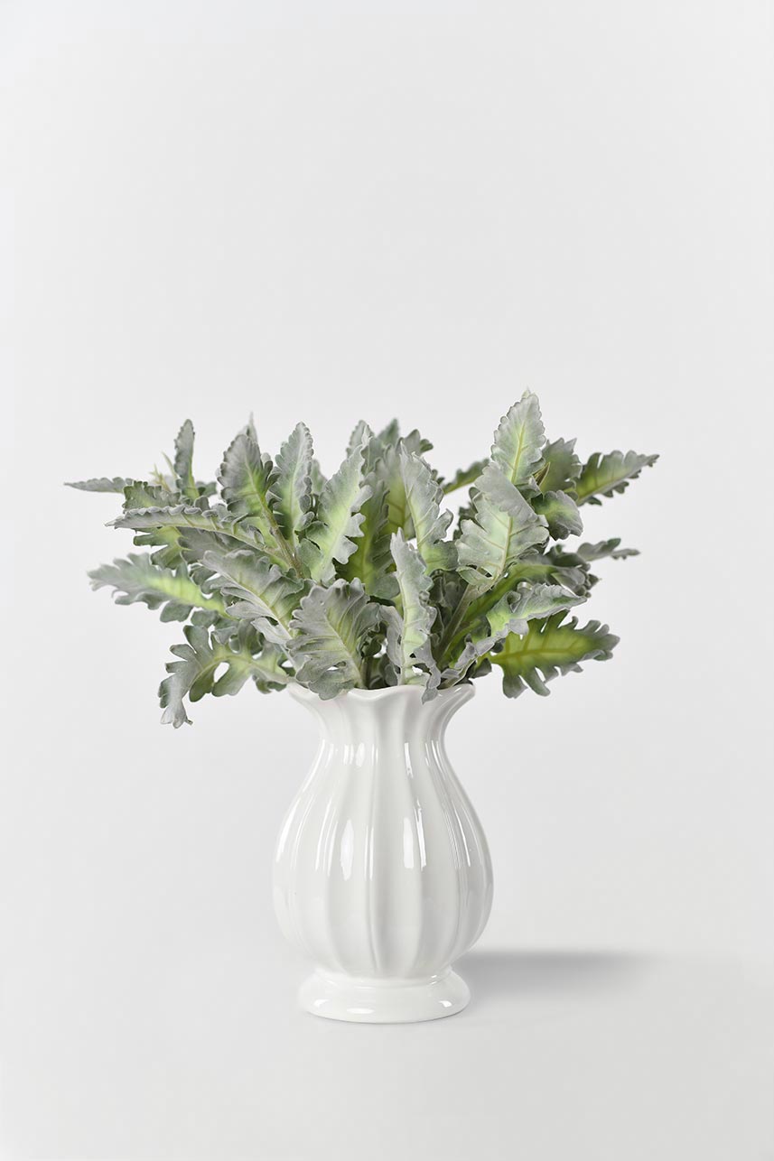 A small vase filled with water and a faux Senecio Cineraria plant. The plant is artificial and features realistic-looking green leaves, providing a natural element to the display.