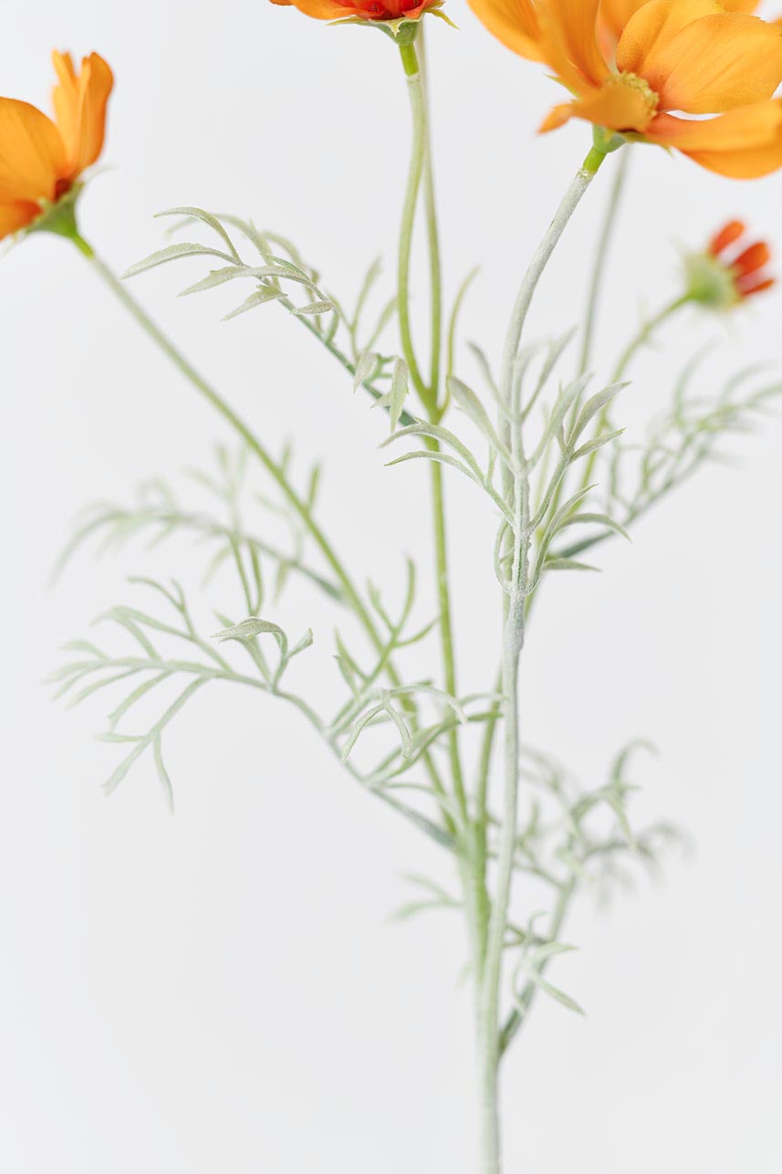 Silk orange Cosmos bipinnatus flowers with realistic stem detail and lifelike green leaves.