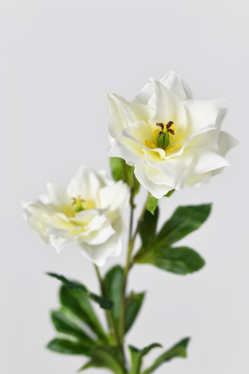 The stamens of the fake flowers are made of plastic,wrapped by layers of textile petals, the layers of petals make the fake flowers look more natural and vivid.