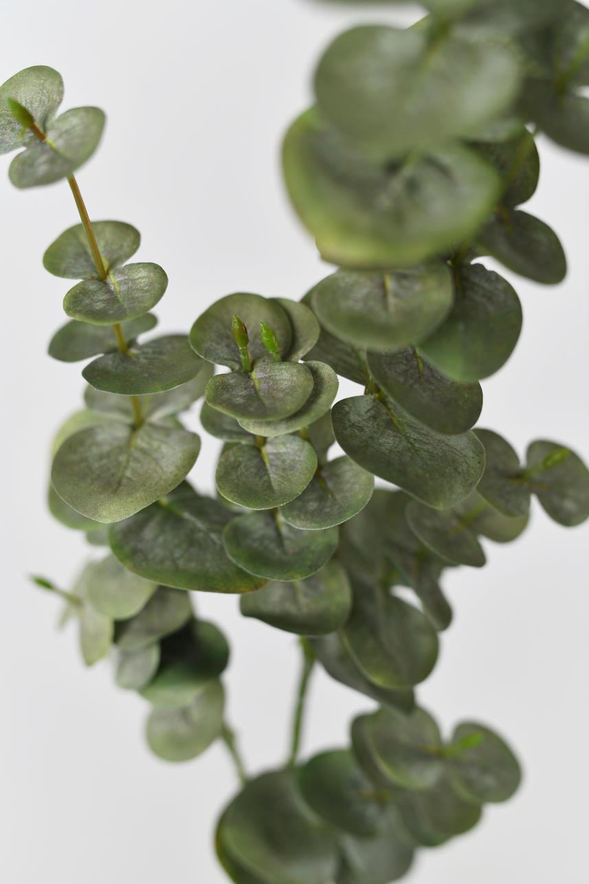 High-quality artificial green and grey spiral eucalyptus leaves, adding a beautiful and realistic touch to your spring and summer decor.