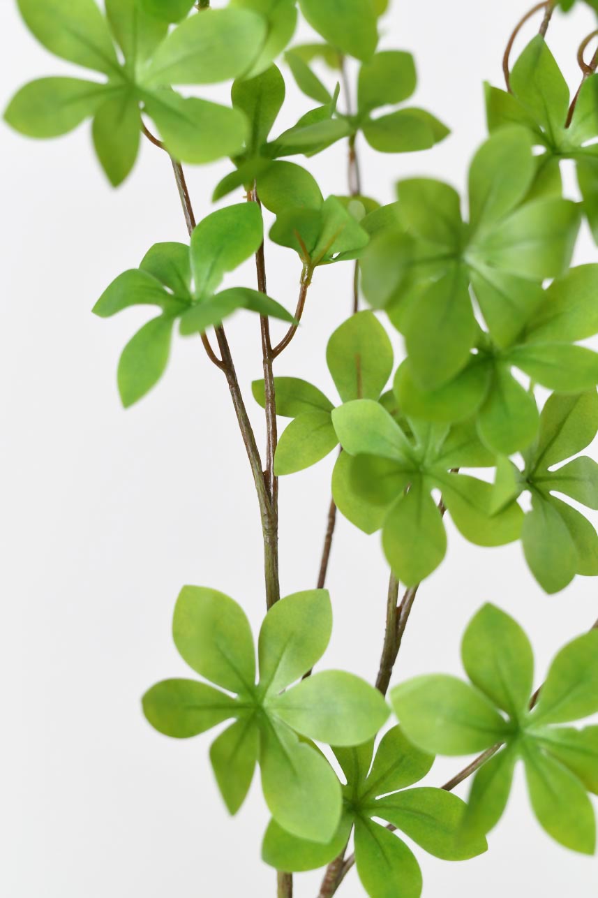 "Silkfloras high-quality Enkianthus Perulatus leaves in light green, 36 inches tall, with realistic texture and perfect for spring and summer decoration."