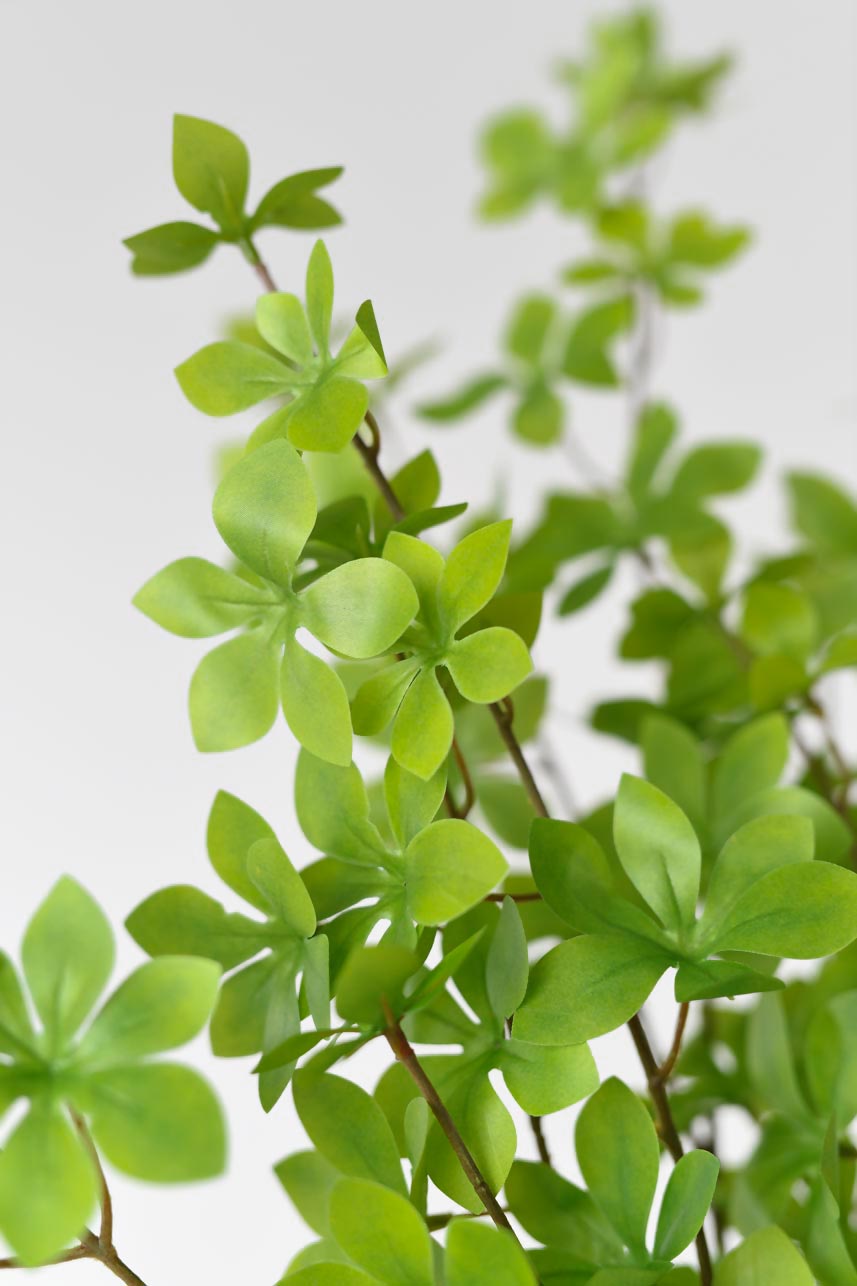 High-quality faux light green enkianthus perulatus leaves, perfect for spring and summer blooms.