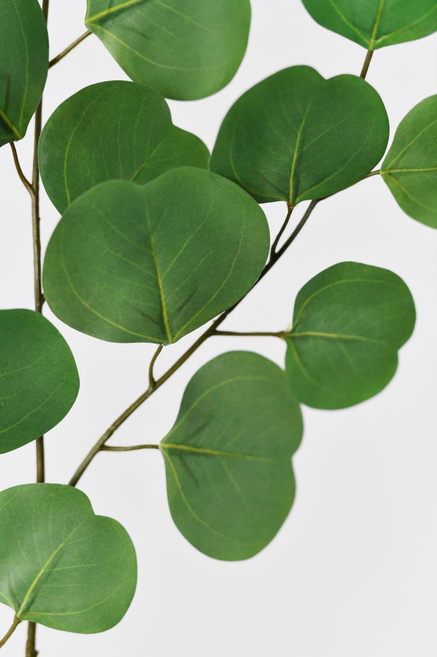 "Silkfloras high-quality silver dollar eucalyptus leaves in moss green, 33 inches tall, perfect for spring and summer decoration."