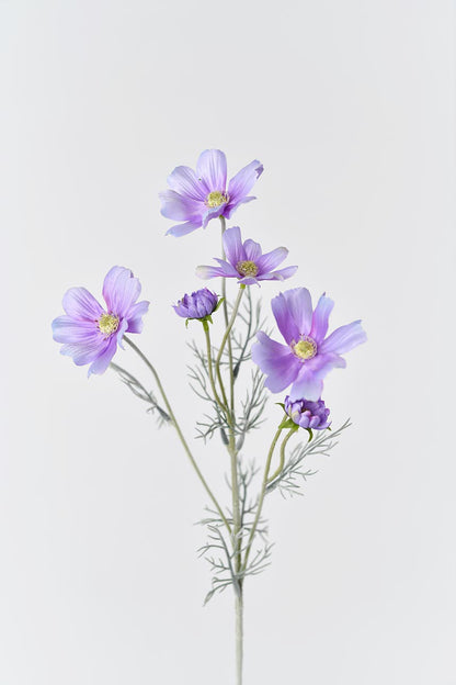 Six light purple Faux Cosmos flowers with delicate petals and yellow centers in full bloom.