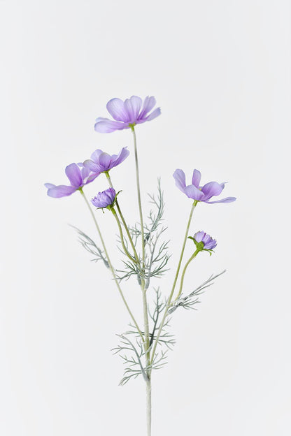 A different perspective of the light purple Faux Cosmos flowers with six large blooms and green leaves.