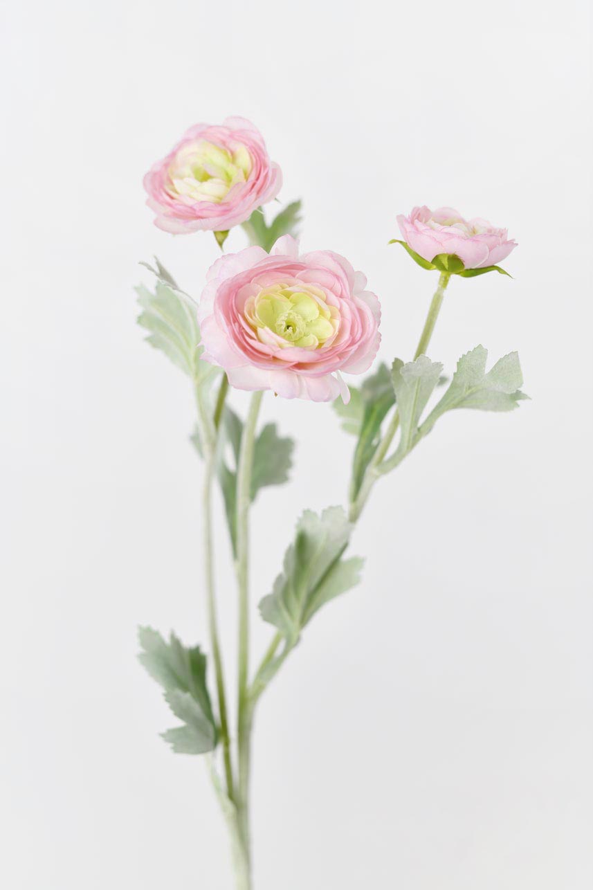 A stunning and elegant faux ranunculus silk flower in a mauve pink color with lifelike petals and faux stems. Its faux flowers make it a great addition to any floral arrangement.