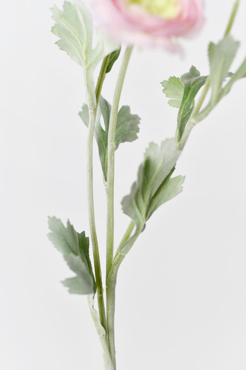 A lifelike and stunning faux ranunculus silk flower in a mauve pink color with a faux stem that makes it look like a real flower. Perfect for creating beautiful floral arrangements or adding a touch of elegance to any space.
