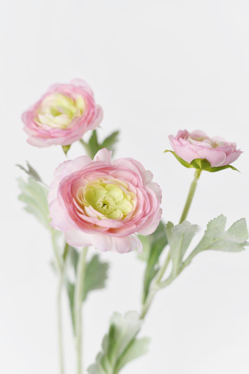 A realistic and beautiful faux ranunculus silk flower in a mauve pink color with faux stems that make it look like a real flower. Perfect for adding a touch of elegance to any space.