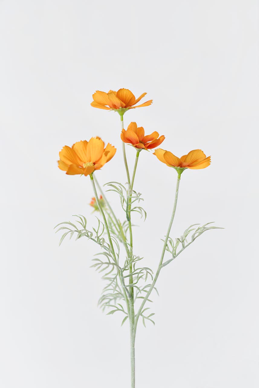Artificial orange Cosmos bipinnatus flowers with intricate details on each delicate petal and vibrant centers.