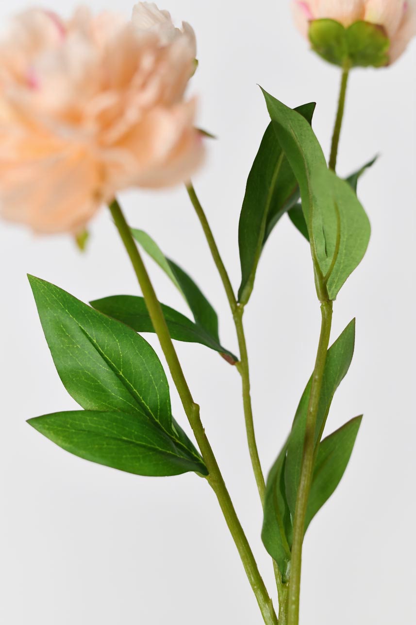 Realistic Peach Artificial Touch Peony Flowers with Flexible Wire Stems in a 21-inch Length