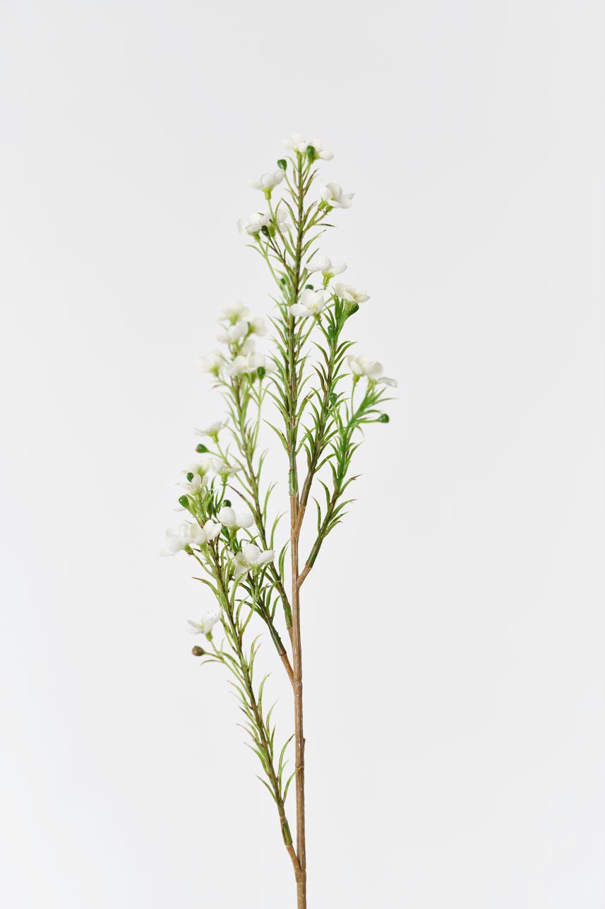 Artificial cream white Chimonanthus Praecox silk flowers, 24-inch tall, silk blooming arrangement