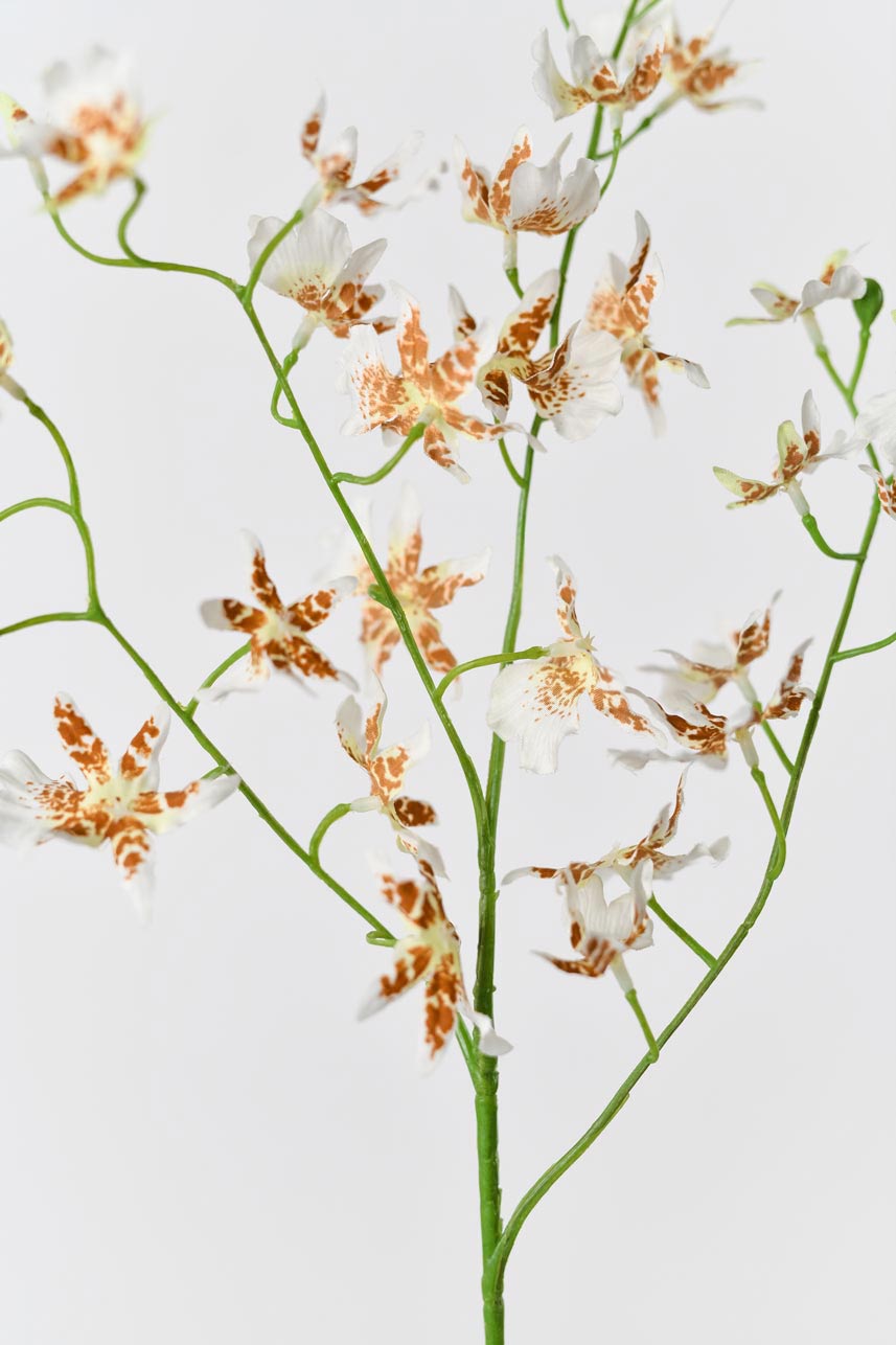 Silk blooming artificial cream white oncidium flowers arrangement, with delicate petals and vivid colors, brings elegance and beauty to any space.