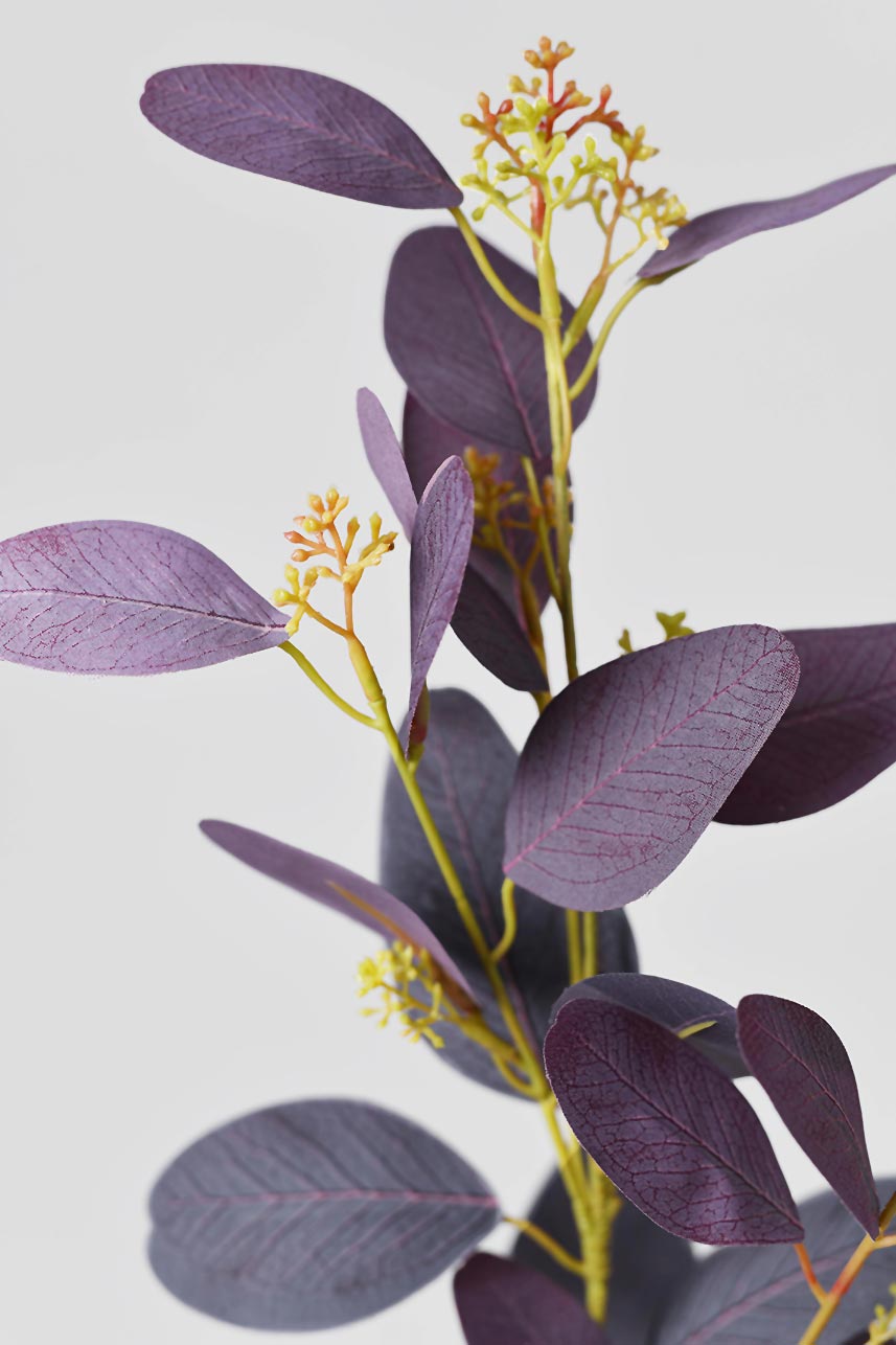 A close-up detail of Burgundy Parisian Eucalyptus, creates a textured medley of foliage.
