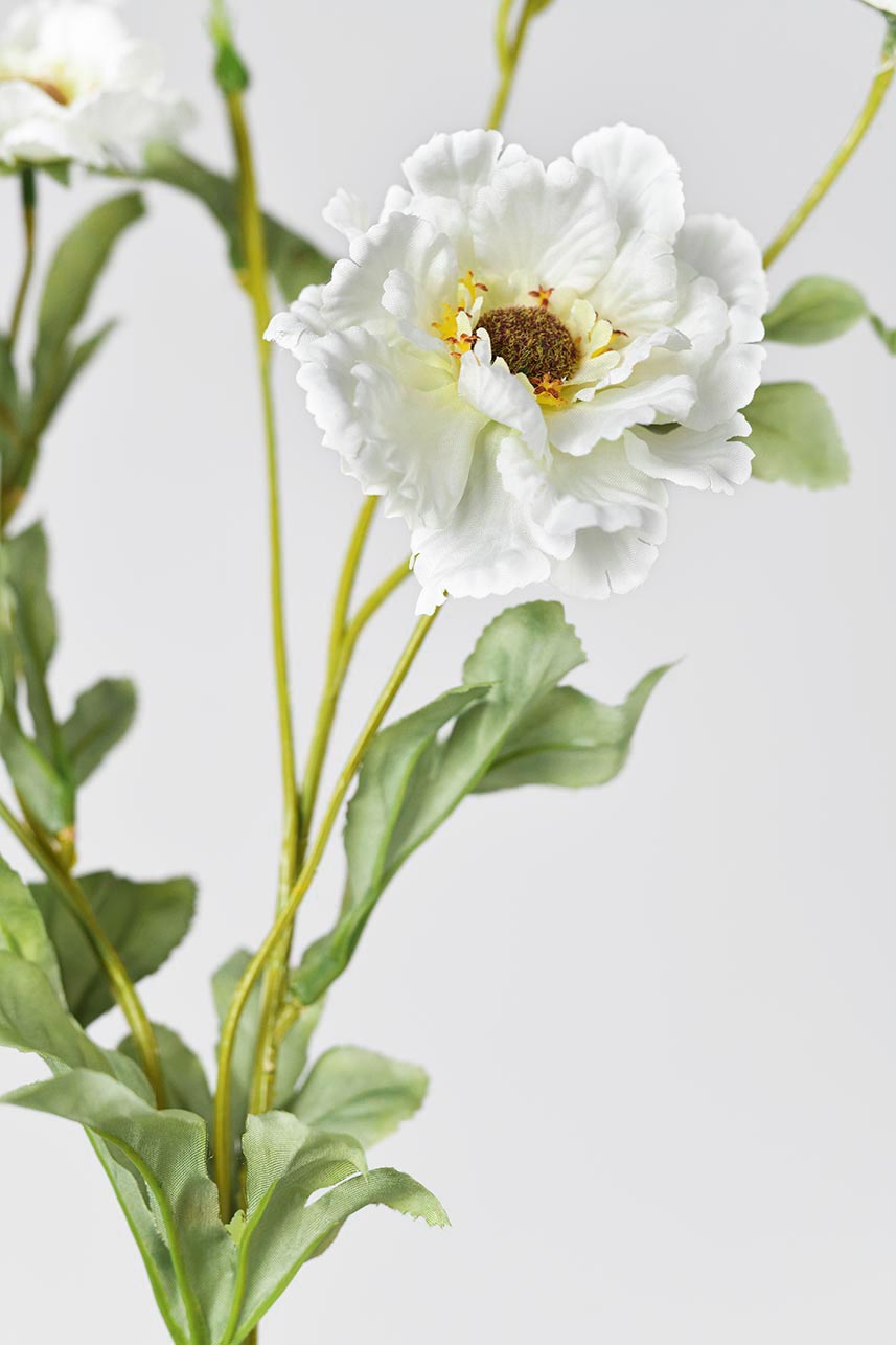 Detailed close-up of faux cream-white lotus crane peony flowers&