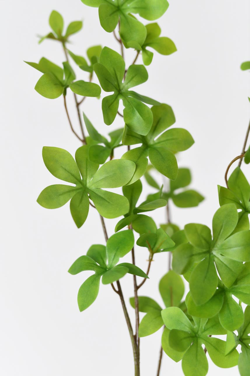 "Silkfloras silk blooming arrangement with light green Enkianthus Perulatus leaves, 36 inches tall, for an elegant and lifelike display."